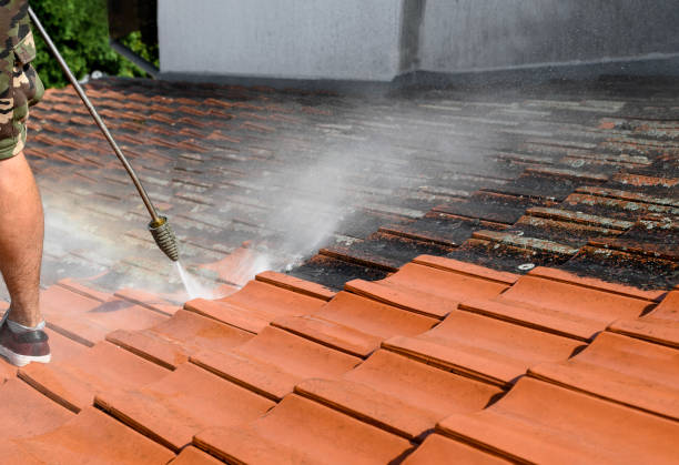 Best Pressure Washing Services Near Me  in Lochbuie, CO