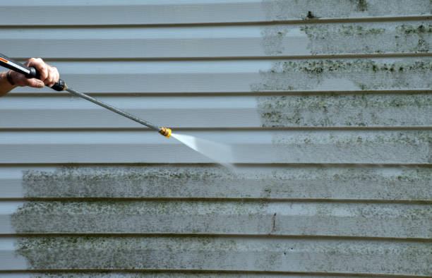 Best Affordable Pressure Washing  in Lochbuie, CO